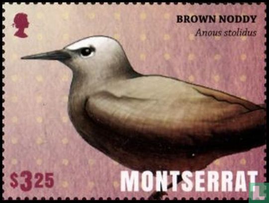 Vogels van Montserrat  