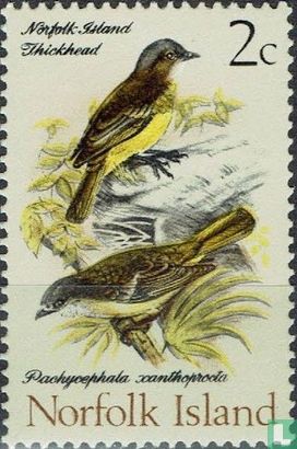 Vogels 