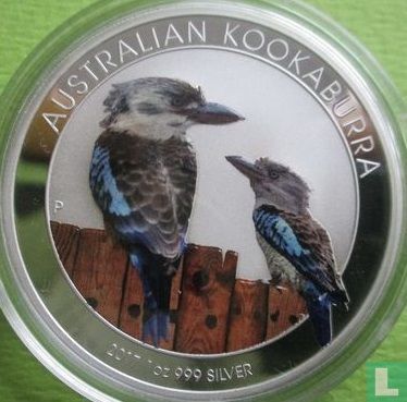 Australië 1 dollar 2017 (gekleurd) "Kookaburra" - Afbeelding 1