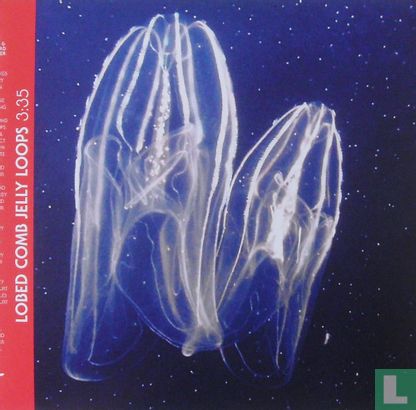 Lobed Comb Jelly Loops - Afbeelding 1