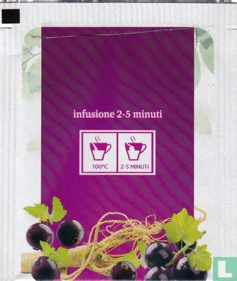 ribes nero, ginseng e vaniglia - Afbeelding 2