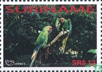 Militray macaw