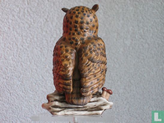 Bubo Bubo  - Image 3