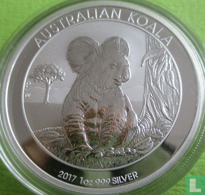 Australië 1 dollar 2017 (kleurloos - zonder privy merk) "Koala" - Afbeelding 1