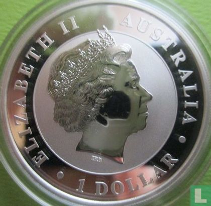 Australië 1 dollar 2017 (kleurloos - met kangoeroe privy merk) "Koala" - Afbeelding 2