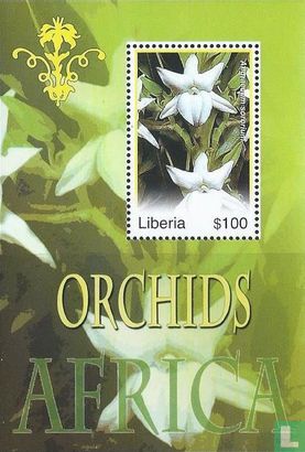Orchids   