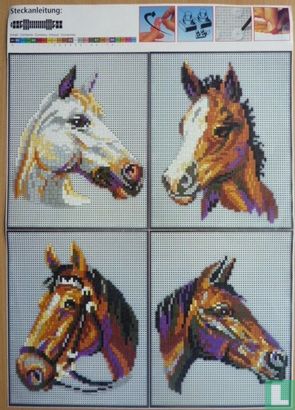 4 paarden hoofden