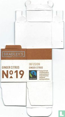Ginger Citrus  - Image 1