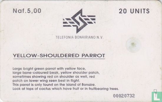 Yellow-Shouldered Parrot - Bild 2