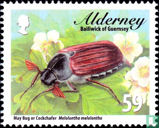 Beetles of Alderney 