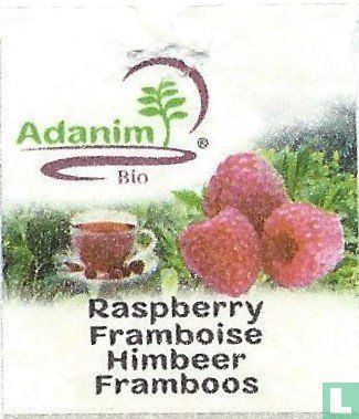 Raspberry Framboise Himbeer Framboos