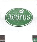 Acorus  - Image 1