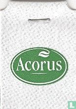 Acorus   - Afbeelding 1