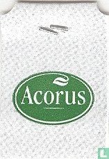 Acorus   - Afbeelding 2