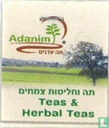 Teas & Herbal Teas 