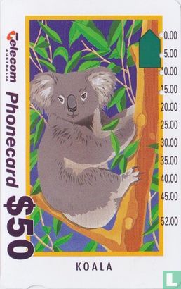 Koala - Image 1