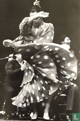 Flamenco - Afbeelding 1