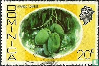 Mango longue