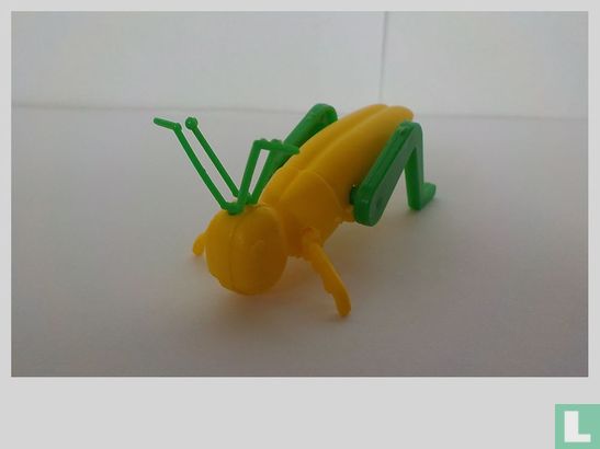Grasshopper  - Image 1