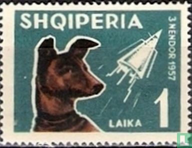 Laika und Sputnik 2