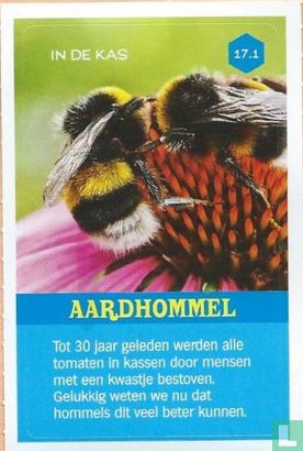 Aardhommel - Afbeelding 1