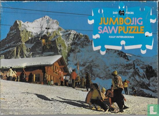 Wintersport in Zwitserse alpen - Bild 1