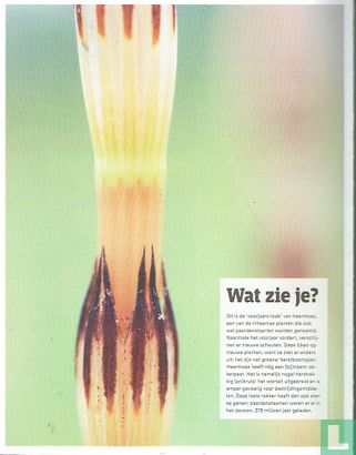 Staatsbosbeheer Magazine 1 - Image 2