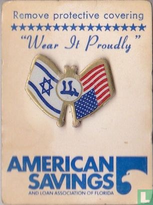 Vlaggen Verenigde Staten en Israël - Afbeelding 2