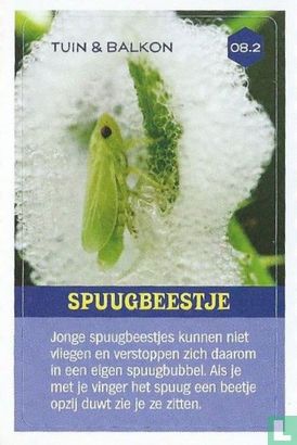 Spuugbeestje - Bild 1