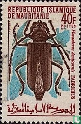 Insecte