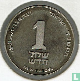 Israël 1 nouveau sheqel 1994 (JE5754 - PIEFORT) "Israel anniversary" - Image 1