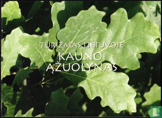 Oak forest of Kaunas - Image 1