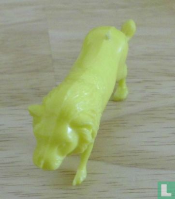 Lion - Image 1