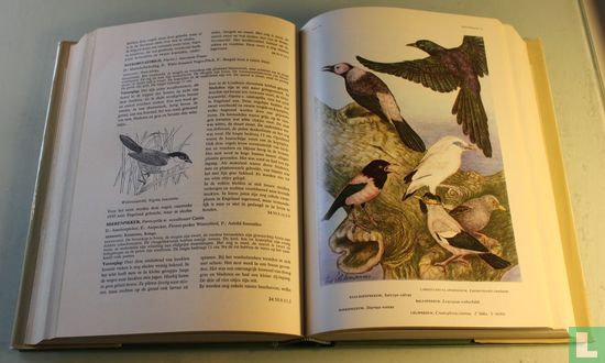 Encyclopedie voor de Vogelliefhebber Deel 3 - Image 3