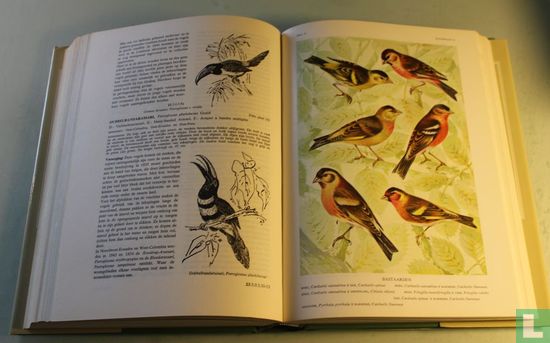 Encyclopedie voor de Vogelliefhebber Deel 4 - Image 3