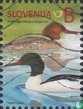 Vogels van Slovenië