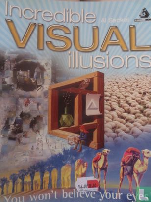 Incredible Visual Illusions - Image 1
