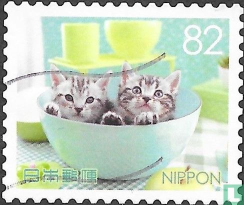Cats