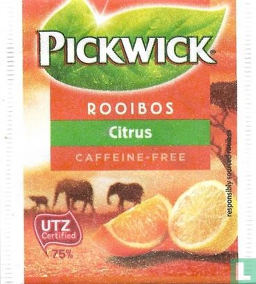 Rooibos Citrus   - Afbeelding 1