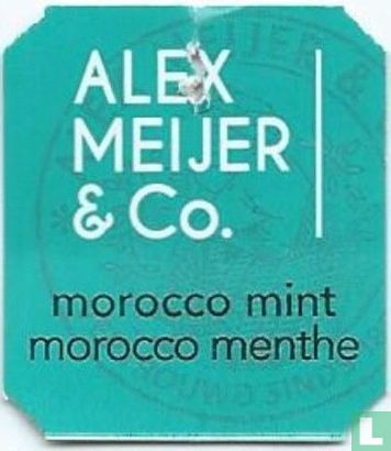 morocco mint morocco menthe  - Bild 1