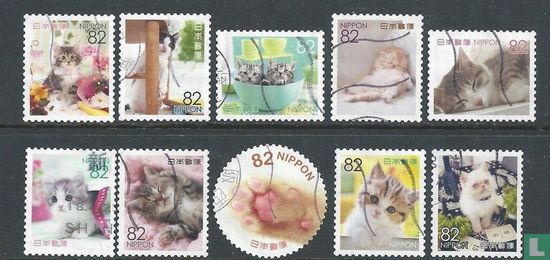 Cats