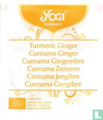 Turmeric Ginger    - Image 1