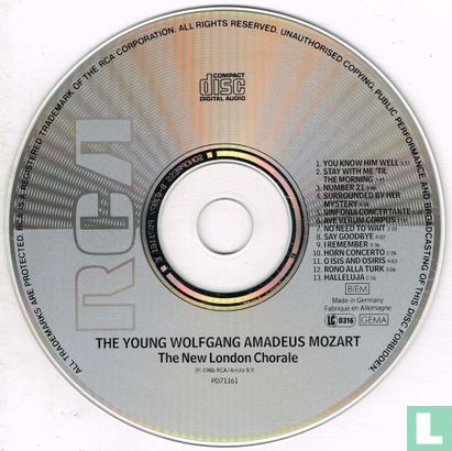 The Young Wolfgang Amadeus Mozart - Afbeelding 3