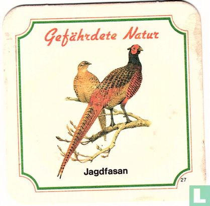 27 Jagdfasan - Afbeelding 1