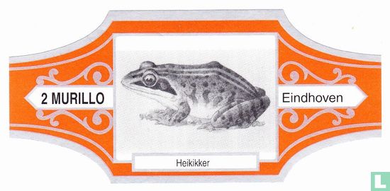 Heikikker - Afbeelding 1