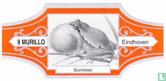 Boomkikker - Afbeelding 1