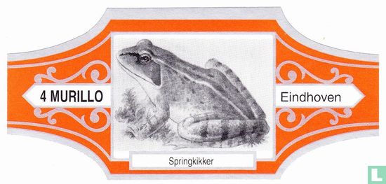 Springender Frosch - Bild 1