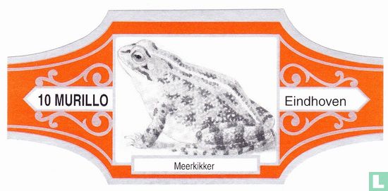 Meerkikker - Image 1