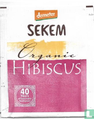 Hibiscus - Afbeelding 1