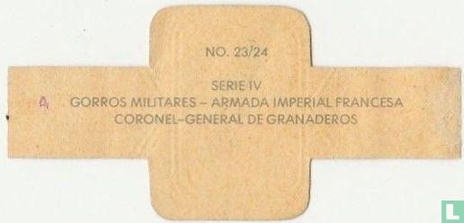 Armada Imperial Francesa Coronel-General De Granaderos - Bild 2